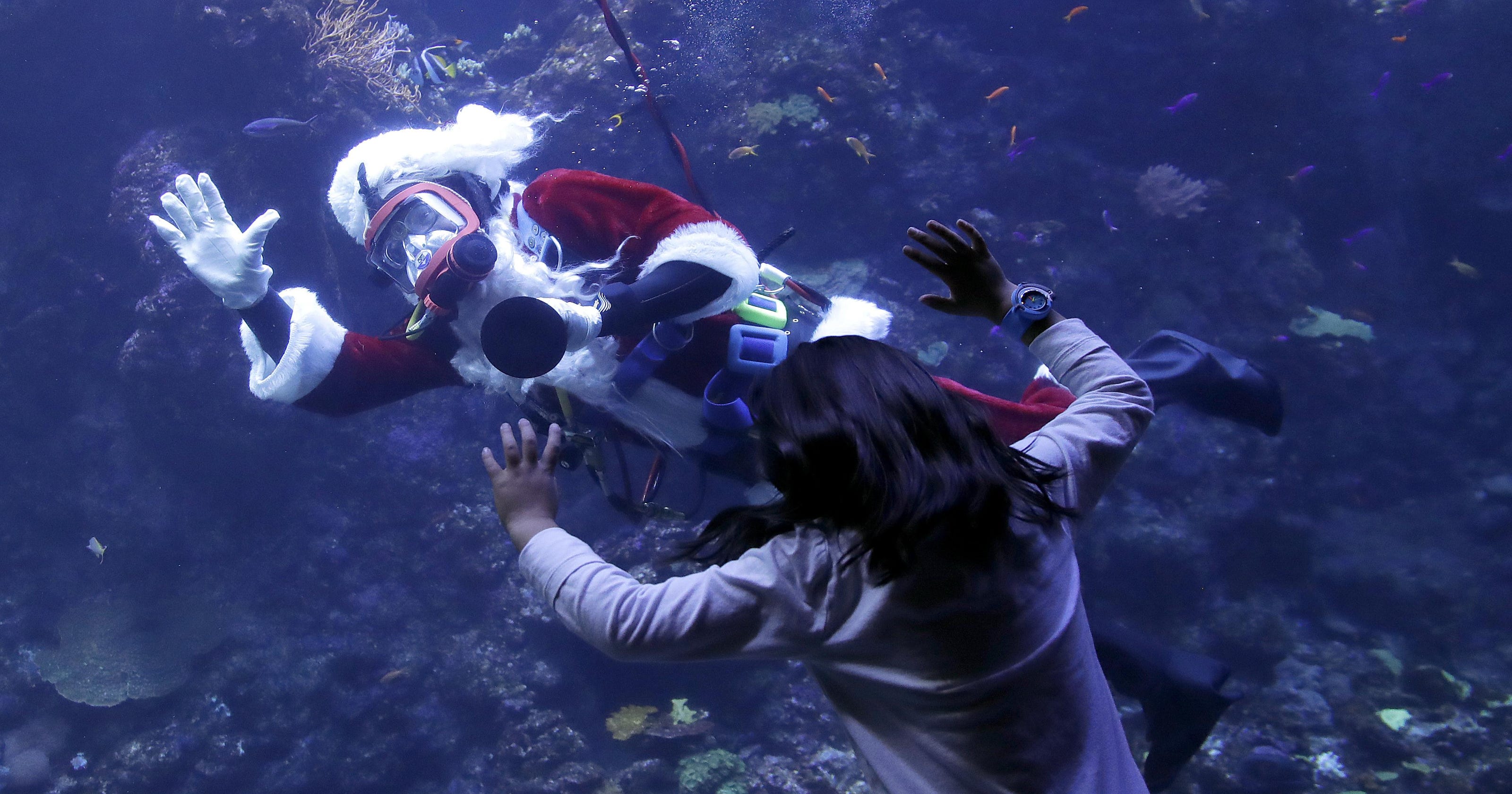 Scubadiving Santa brings holiday cheer to fish, museumgoers