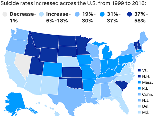 Image result for suicide rates