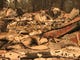 The Carr Fire devastated homes in the Muletown Road