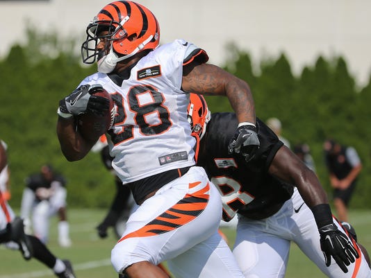 Bengals Walkthru Don T Read The Depth Chart