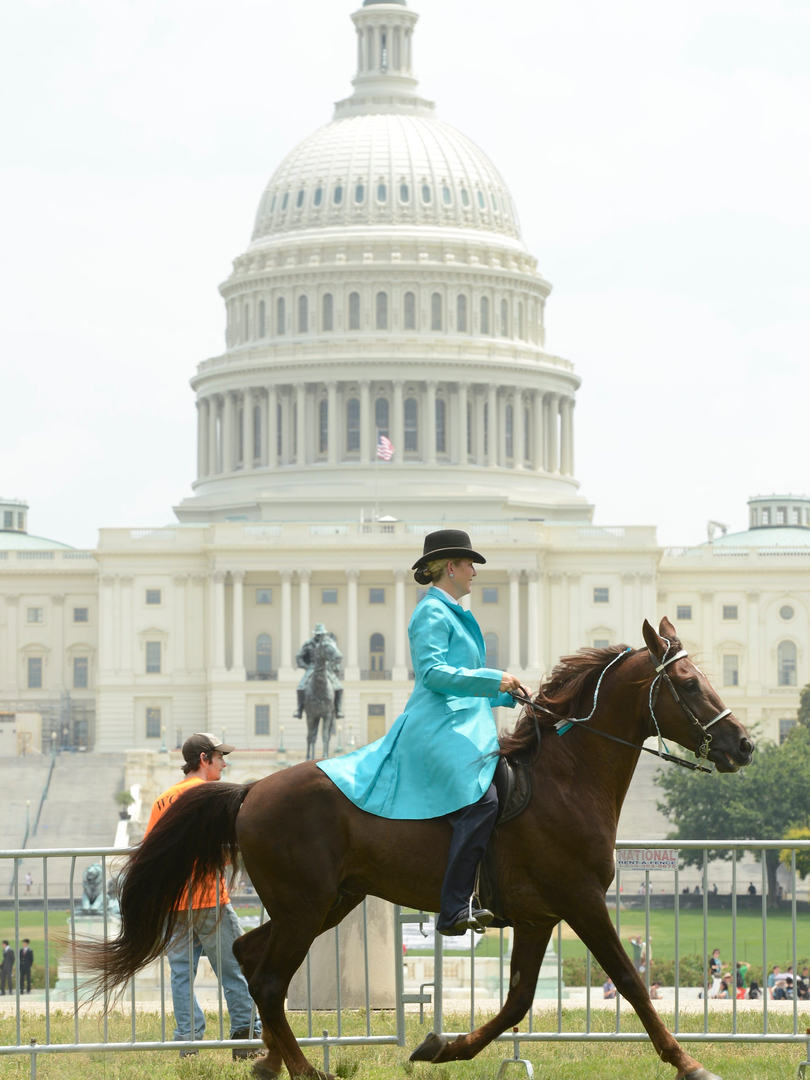 Horse Soring Restrictions Among Those Halted By Trump Ban On New Rules