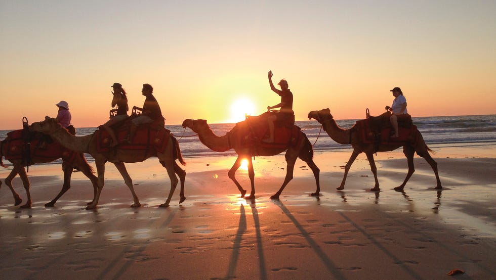 Cable Beach Camel Trail