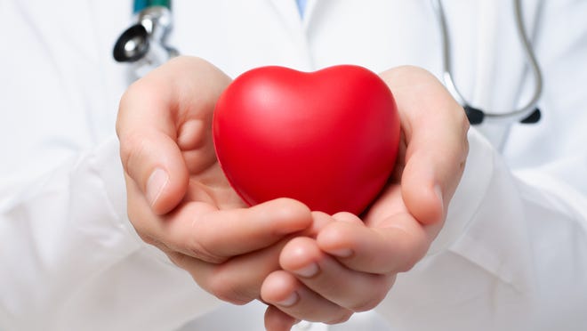 Doctor holding a heart shaped object.