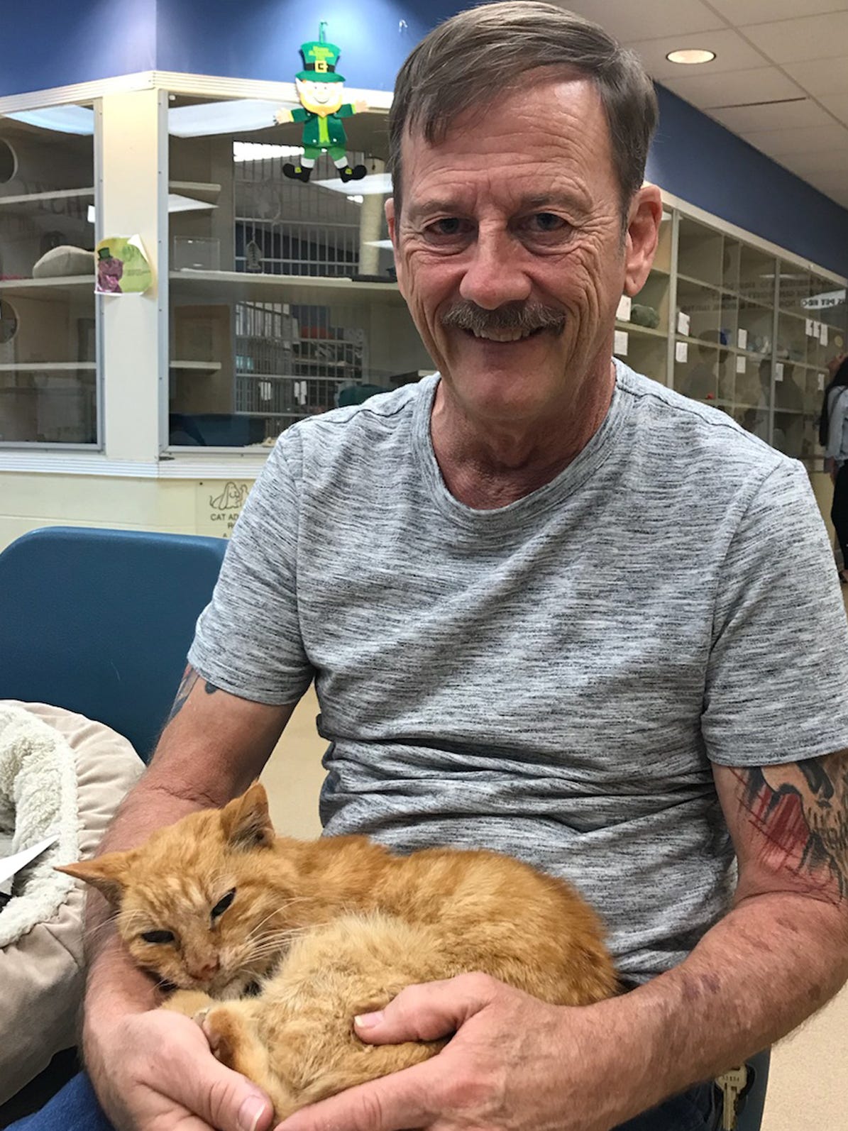 Missing Cat Reunited With Owner After 14 Years