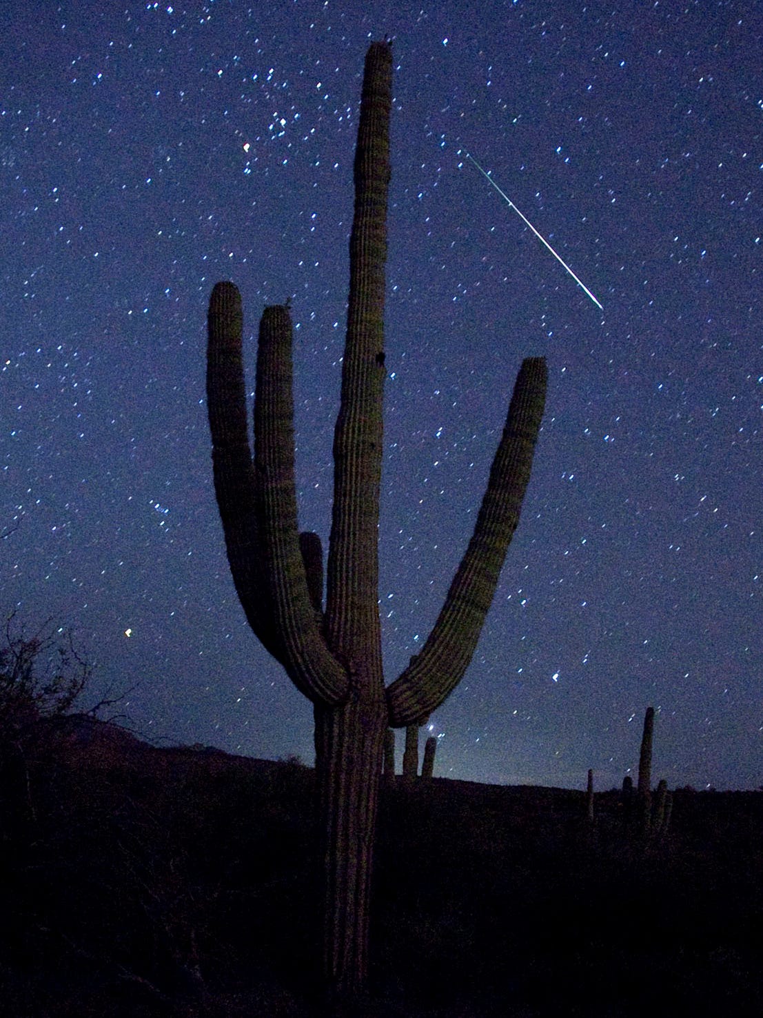 Arizona Stargazing Best Places To See The Milky Way Meteors And Planets