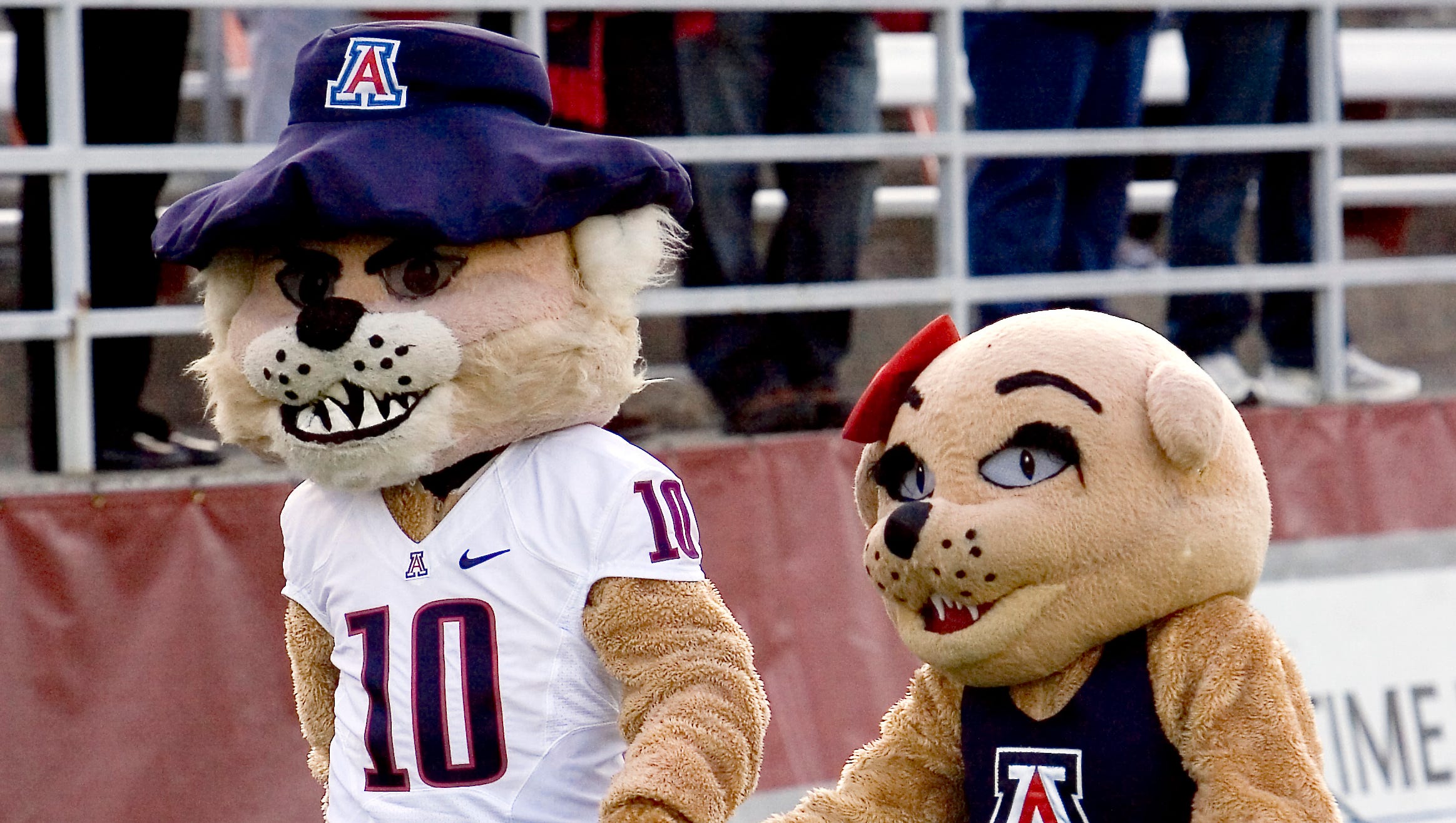 Why do Arizona Wildcats &#39;Bear Down&#39;?