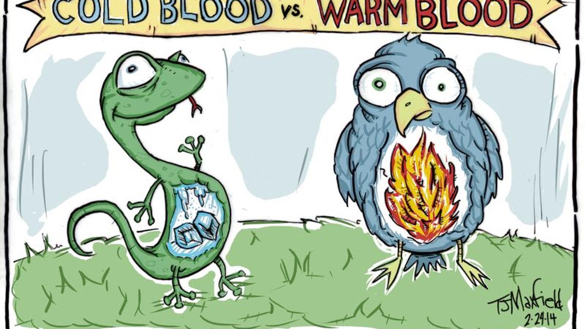 Kids Quiz How Are Cold Blooded Animals Different From Warm Blooded Ones