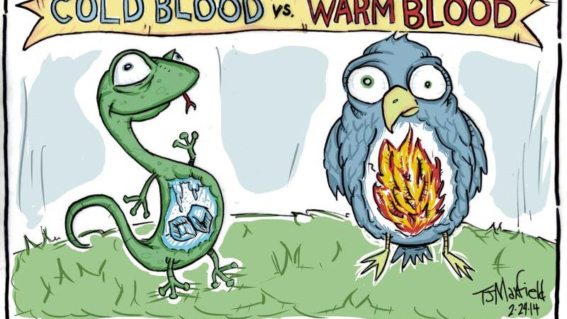 Kids Quiz: How Are Cold-Blooded Animals Different From Warm-Blooded Ones?