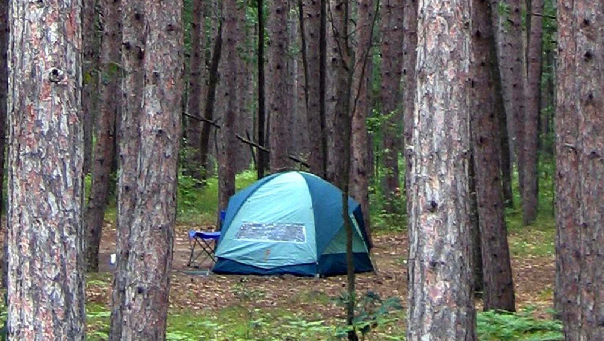 Michigan Making It Easier To Snag Prime Camp Sites At State Parks Michigan Making It Easier To Snag Prime Camp Sites At State Parks
