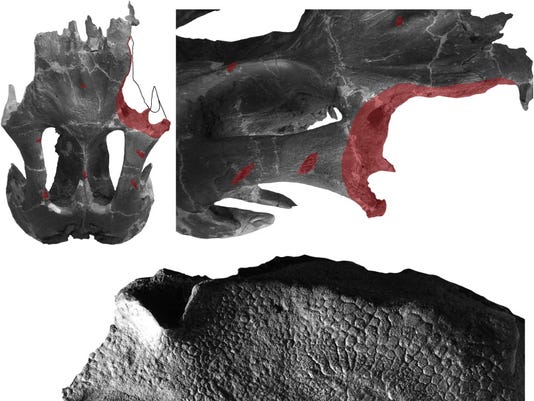 dinosaur with duckbill head