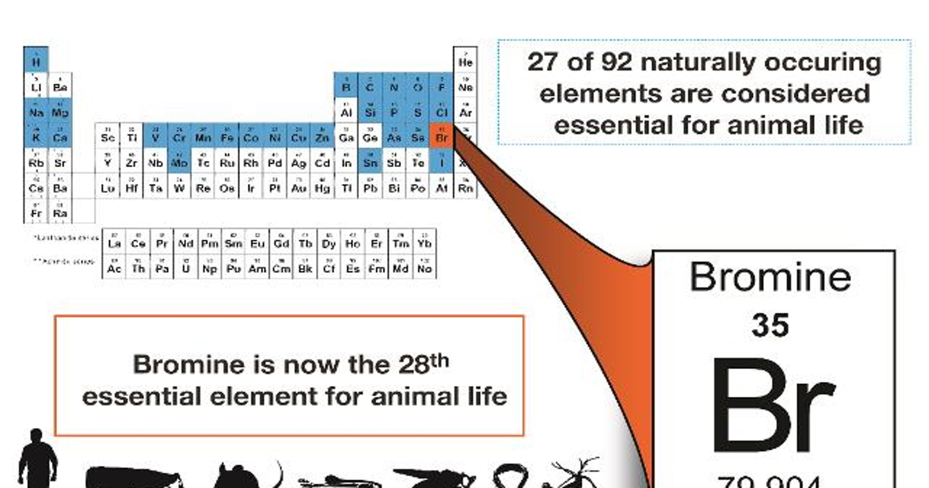 Bromine in your daily vitamin? Scientists now say it’s essential to life