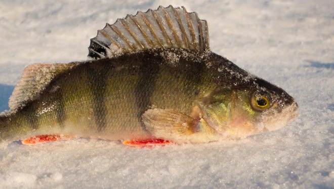 It's time to wrap up ice fishing for another season.