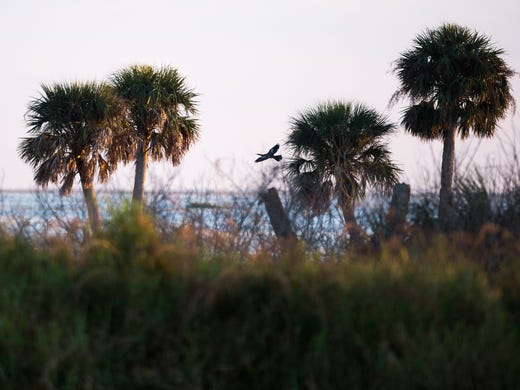 St. Johns River water district seals Fellsmere boat ramp deal