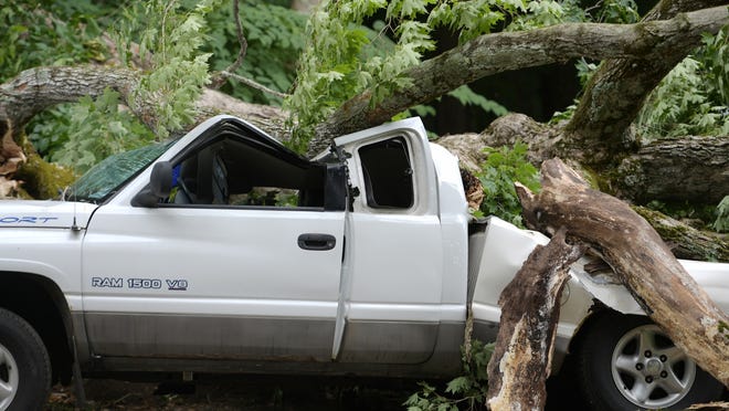 A downed tree lies on a pickup truck at 77 Mulberry St. in Leicester on Tuesday afternoon as winds pick up while Tropical Storm Isaias advances. Another vehicle was hit as well.