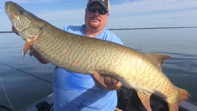 A general rule of thumb when fishing for muskies in heavy cover is to use as large of an offering as you can.