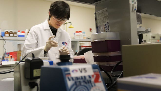Delaware's jobless rate fell to 4.8 percent in February. At ANP Technologies in Newark, the biotech firm's payroll has grown to more than 30 employees. Here, Zhiying Zou works in ANP's Newark labs in February.