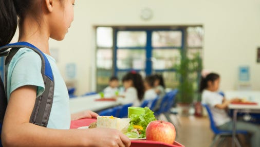 Children who participate in NSLP receive one-third or more of their Recommended Dietary Allowance (RDA) for key nutrients. Some educators have observed an acceptable behavioral pattern among students who participate in the food program.