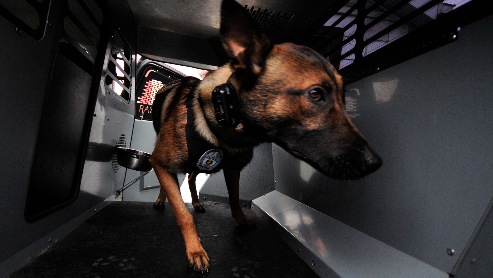 New Chambersburg Police dog joins force