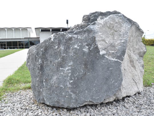 Detroit's new 93-lb Petoskey stone dwarfed by Up North monstrosity