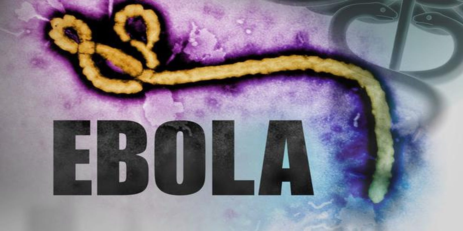 Cdc To Hospitals Now Is The Time To Prepare For Ebola