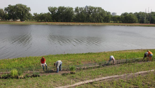 Parks Maintenance workers finish out the planting along the shore ine of Gray's Lake in 2012. The shoreline restoration project was funded in large part by REAP program.