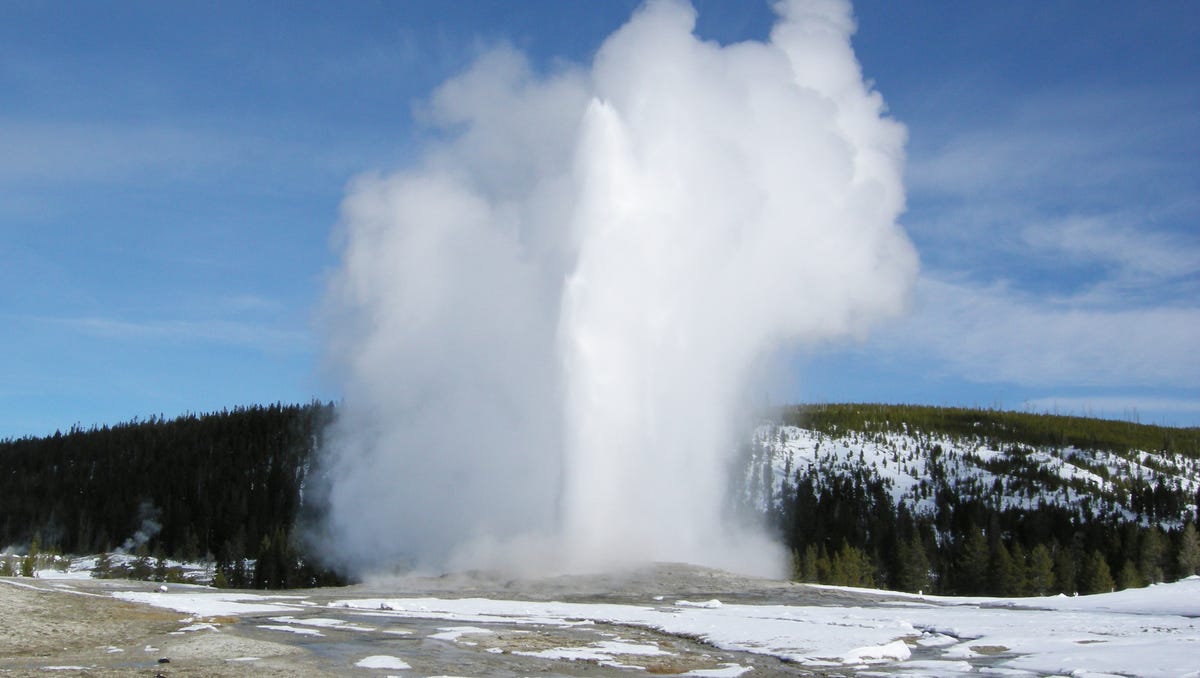 Yellowstone Is Reeling From Climate Change But You Can Help Really