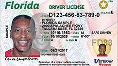 Front of the new driver's license set to be issued in August.
