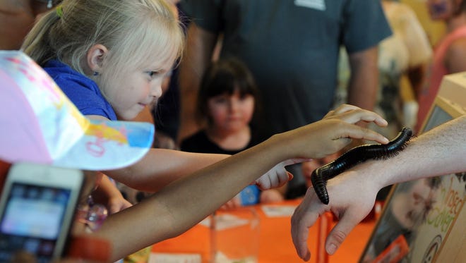 Londyn Brown learns first hand want a millipede feels like during the River Bend Nature Center's Bug Fest in 2016.