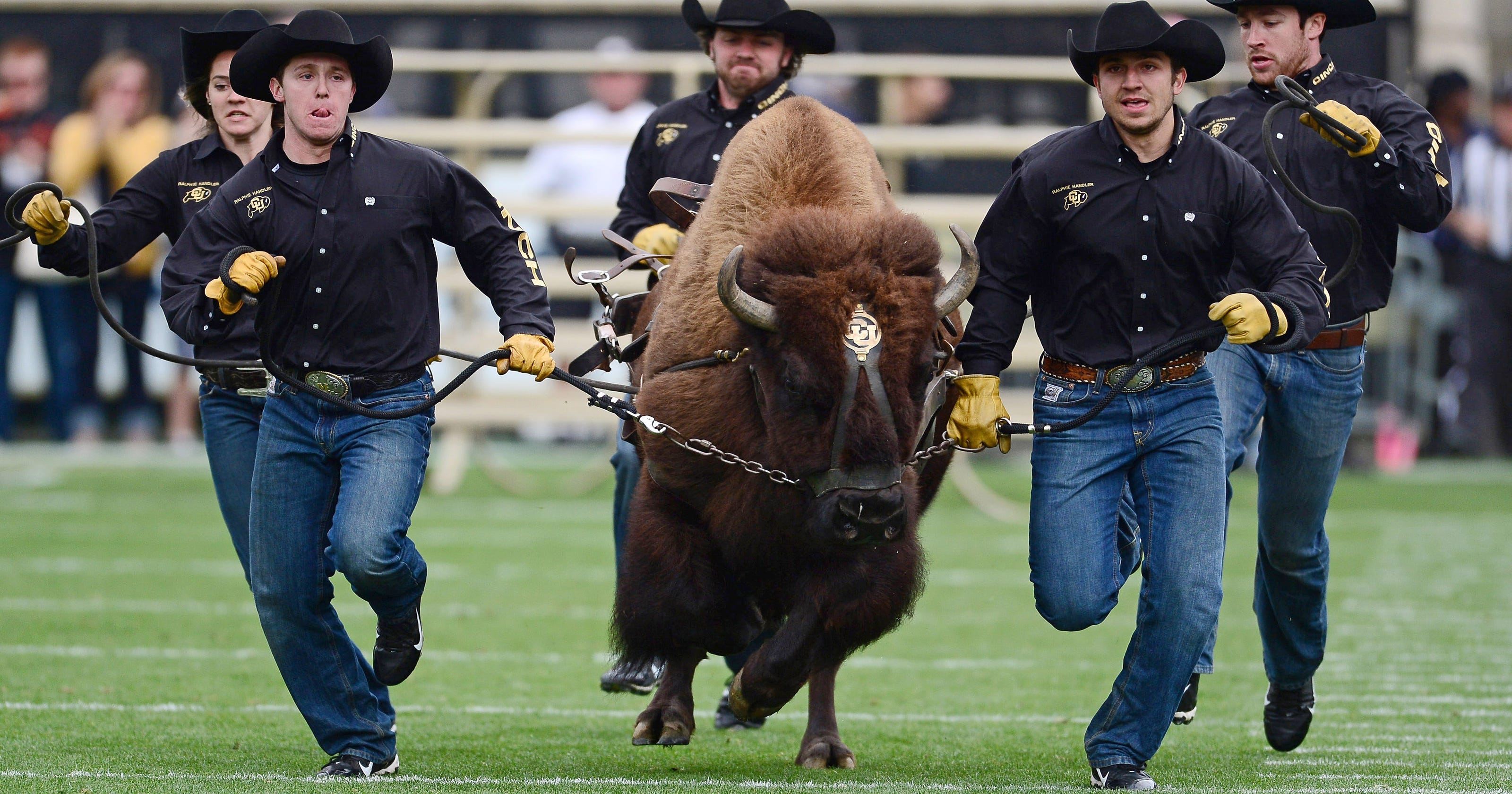 Ten of the best college football traditions