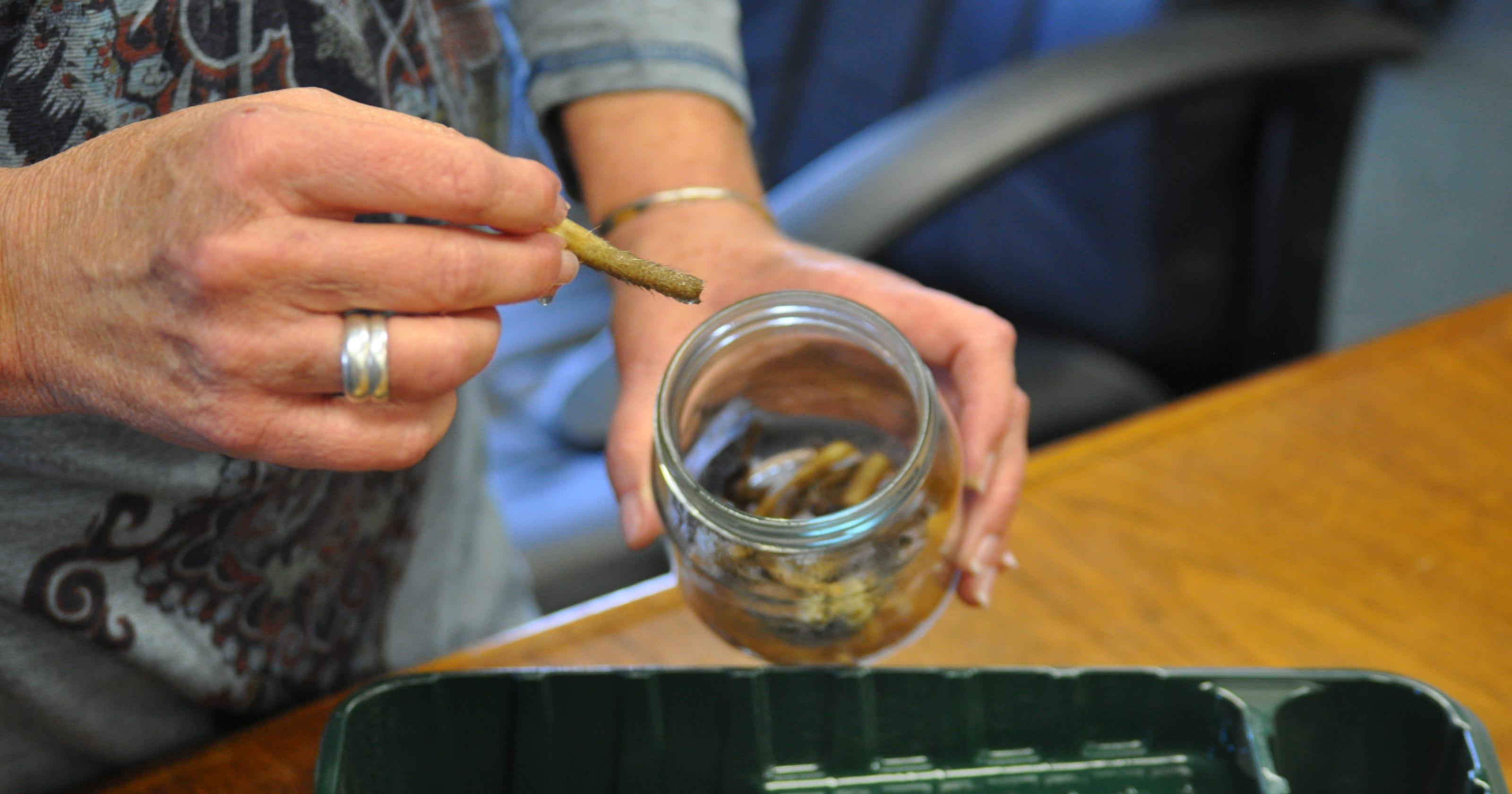 Pocket gopher control