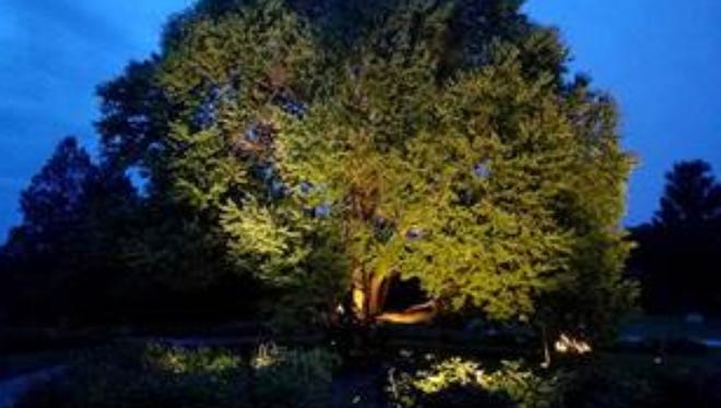 The Boerner Botanical Gardens will soon be illuminated by a lighting system installed through funding by the Friends of Boerner Botanical Gardens.