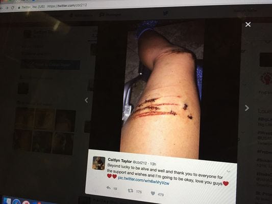 A photo from Caitlyn Taylor's Twitter account.