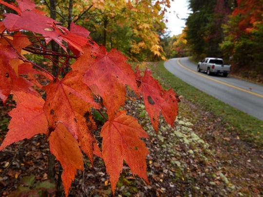 Fall 2017 Foliage Should Be Outstanding In East Tennessee Fall 2017 Foliage Should Be Outstanding In East Tennessee