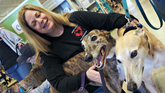 Rhea Behlke, of Fond du Lac, poses with Jess, at left, and Blondie, both owned by Jeff and Pat Zimmerman, members of Heart Bound Greyhound Adoption. Behlke also owns a brindle-colored greyhound named Salem.