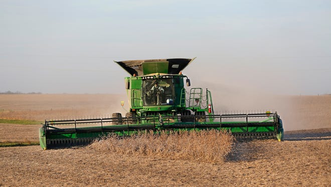 A cloud of dust rises into the air as a farmer brings in the soybean harvest Monday, November 10, 2014, off County Road 800 South.