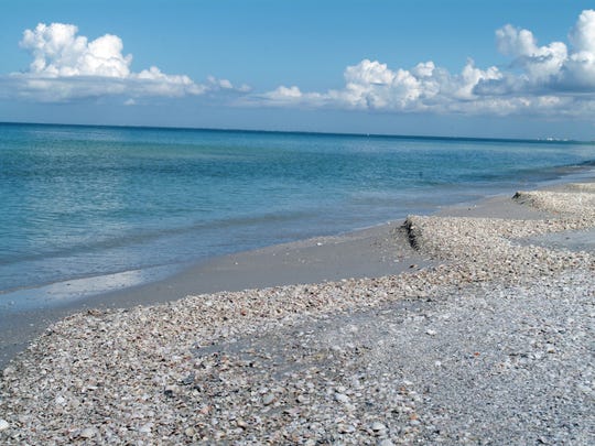 Sanibel Beach Reopens After Bacteria Levels Dropped