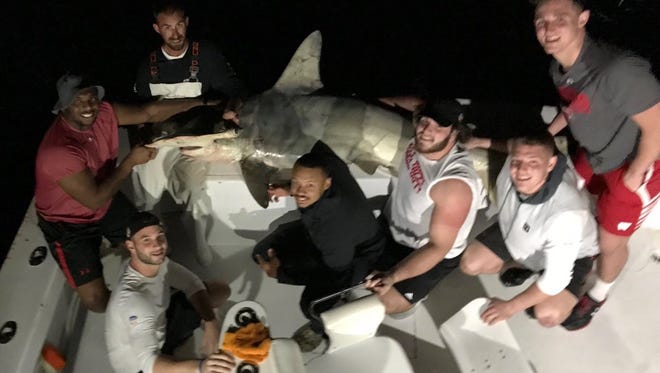 UW football players pose after catching a shark off Florida.