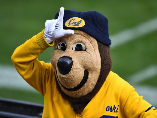 California Golden Bears mascot Oski performs in the