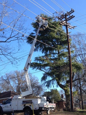 Duke Energy's Jesse Levi pulls the limb from power lines on the 900 block of Williamston Road on Thursday, Jan. 26.