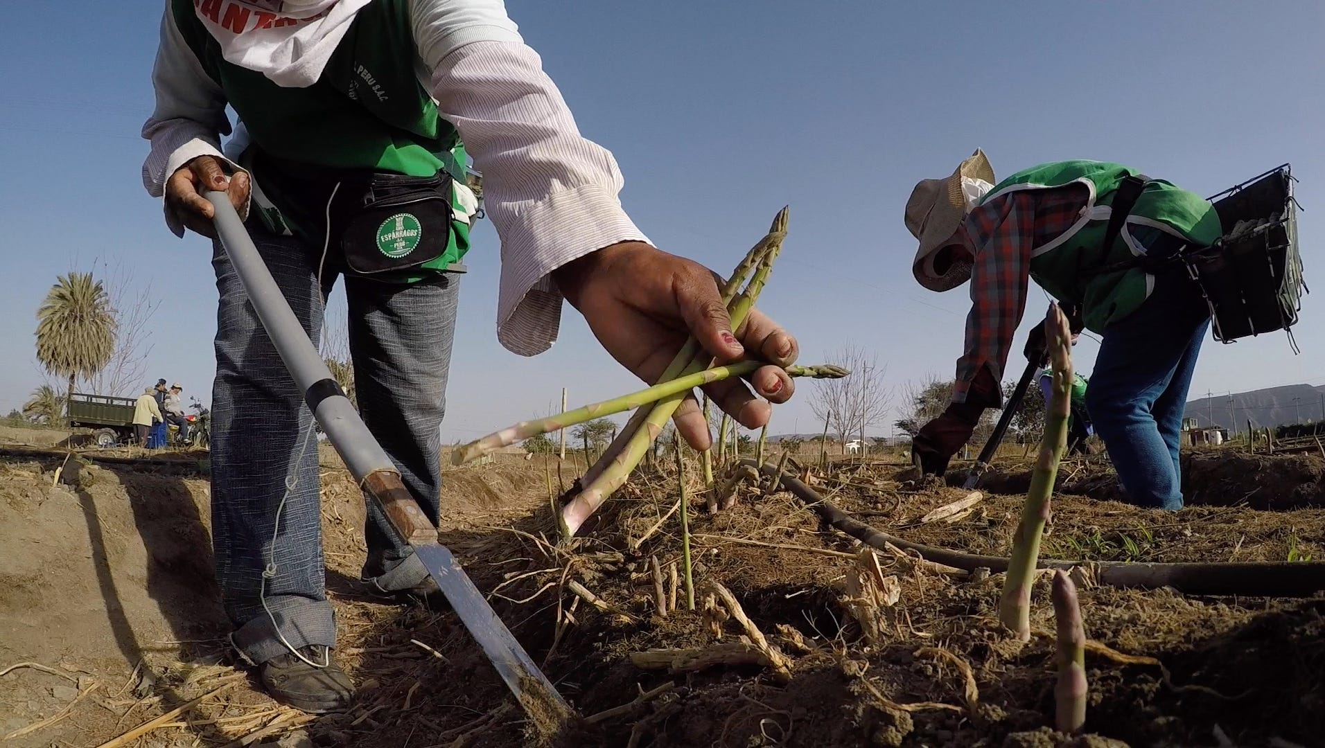 The Costs Of Peru S Farming Boom