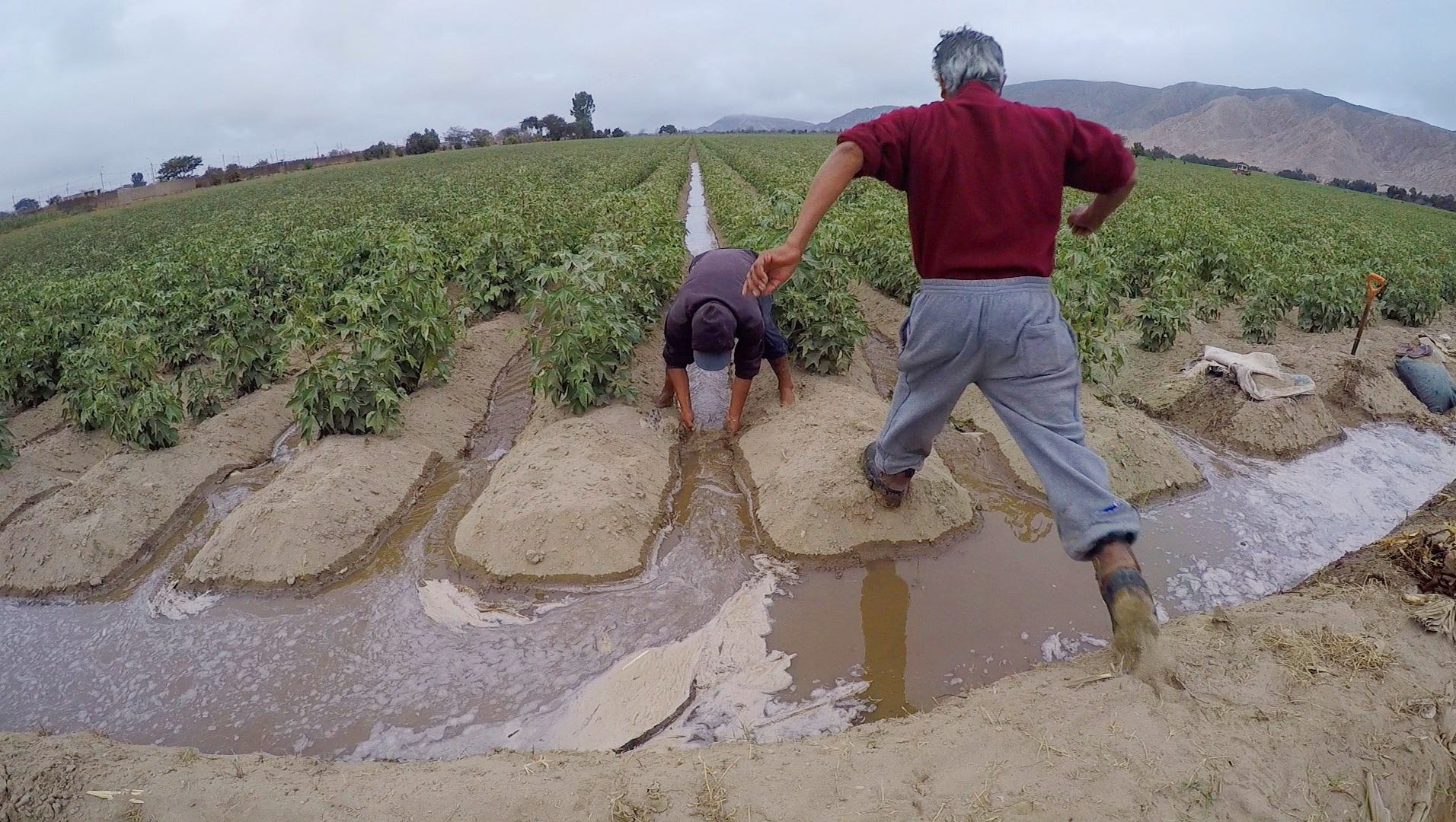 The Costs Of Peru S Farming Boom