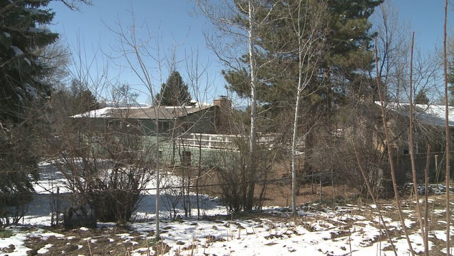 A woman was attacked by her dogs in Longmont on Saturday.
