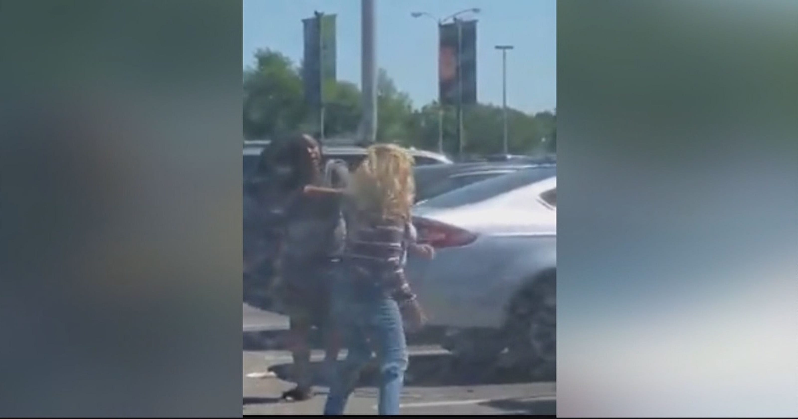 Road rage Women brawl over parking spot at Houston Zoo