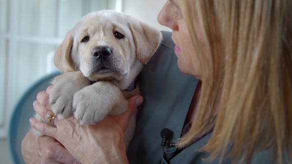 Phil is one of the five stars of 'Pick of the Litter,'