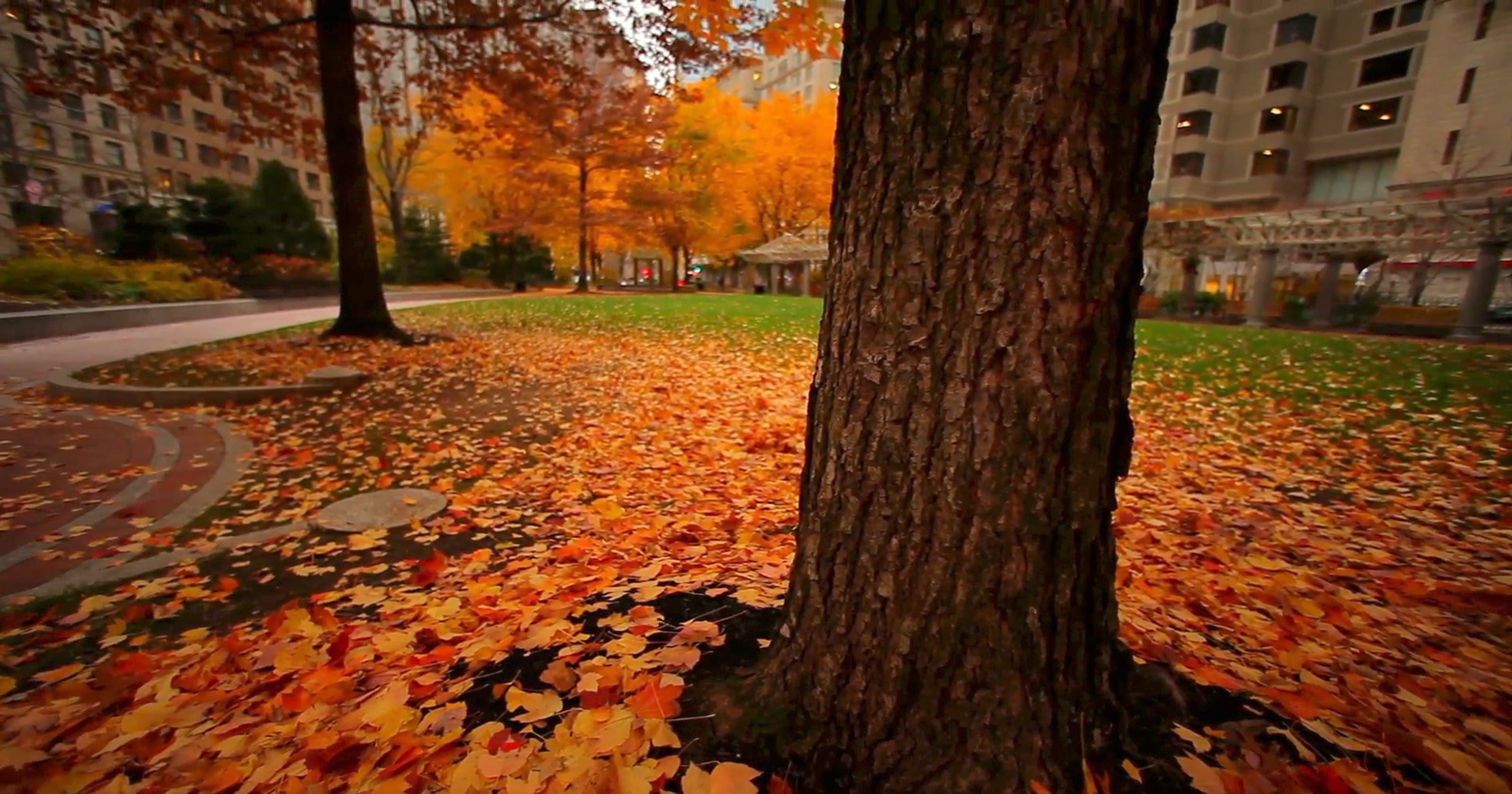 Autumnal equinox, Brett Kavanaugh 5 things to know this weekend