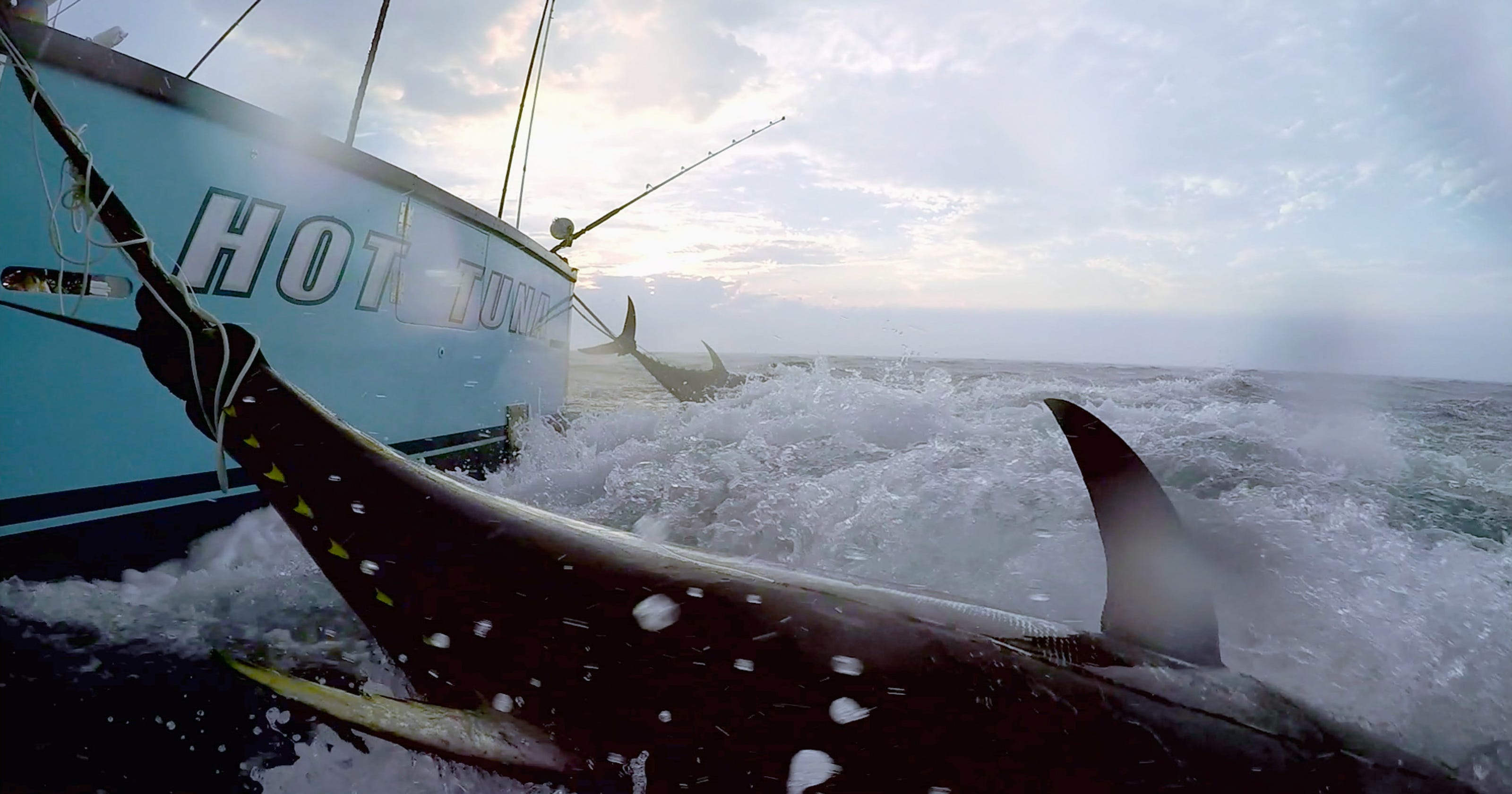 Wicked Tuna Star William Hathaway Dead At 36 In Crash