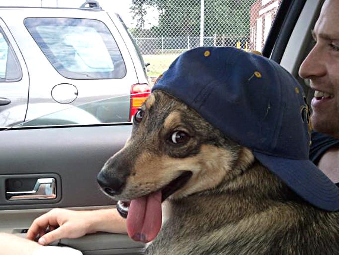 Todd LeConey with Buster taking a Sunday drive in their home town of West Berlin, NJ.
