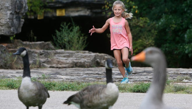 U.S. News and World Report released a ranking of the 50 U.S. states that measured them in several performance areas. Missouri scored well on quality of life and fiscal stability and poorly in crime, health care and the economy. In this photograph, Abby Wheeler, 6, of Rogersville, runs toward the geese at Sequiota Park on Wednesday, Aug. 31, 2016.