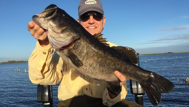 No superstitions here. Brian Graves of Virginia fished Friday morning with Capt. Mike Shellen of okeechobeebassfishing.com to catch and release this 8-pound, 12-ounce bass on a wild shiner.