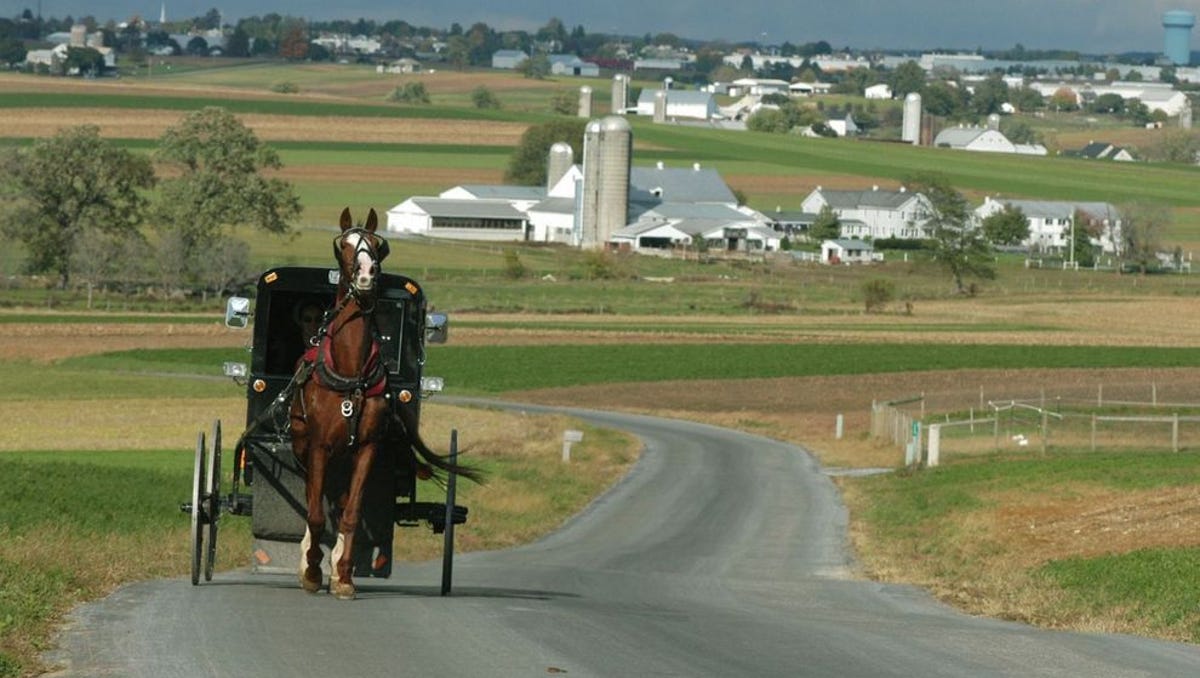 Amish Buggy With Stereo 12 Pack Of Beer Pulled Over By Ohio Deputies
